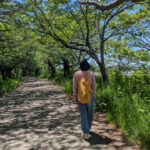窓の外を見つめながら、自分らしい選択について考える女性の後ろ姿