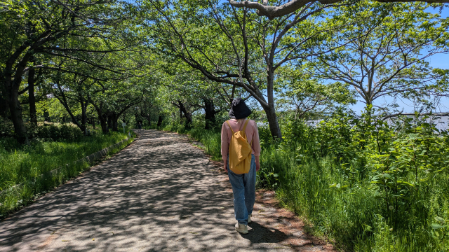 自分らしい毎日を歩む女性の後ろ姿
