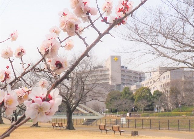 病院選びで優先したいことのイメージ