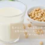 乳がんと大豆イソフラボンについて考える豆乳と大豆食品