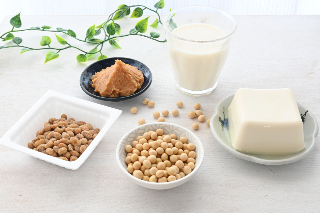 乳がん治療中の食事で取り入れられる豆腐納豆豆乳などの大豆食品